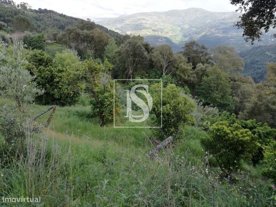 Terreno Rústico - Gove - Baião