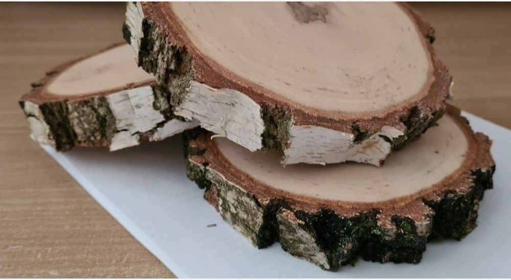 Krążki drewniane o średnicy od 8 do 17 cm