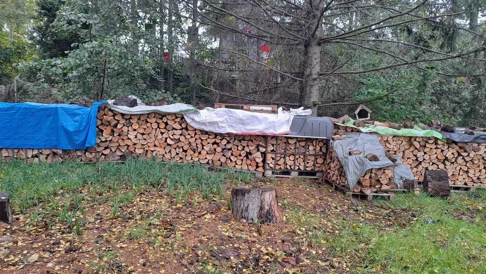 Sprzedaż drewna opałowego 380 zł