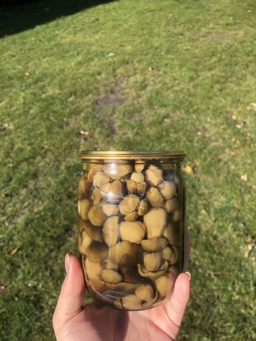 Волинські мариновані гриби