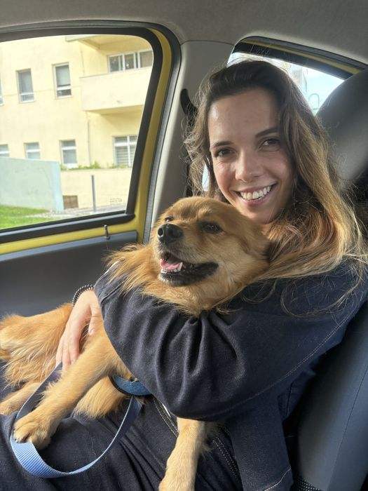 Catsitter and dogsitter