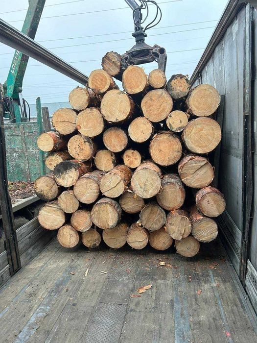 Ліс сосновий кругляк свіжопиляний