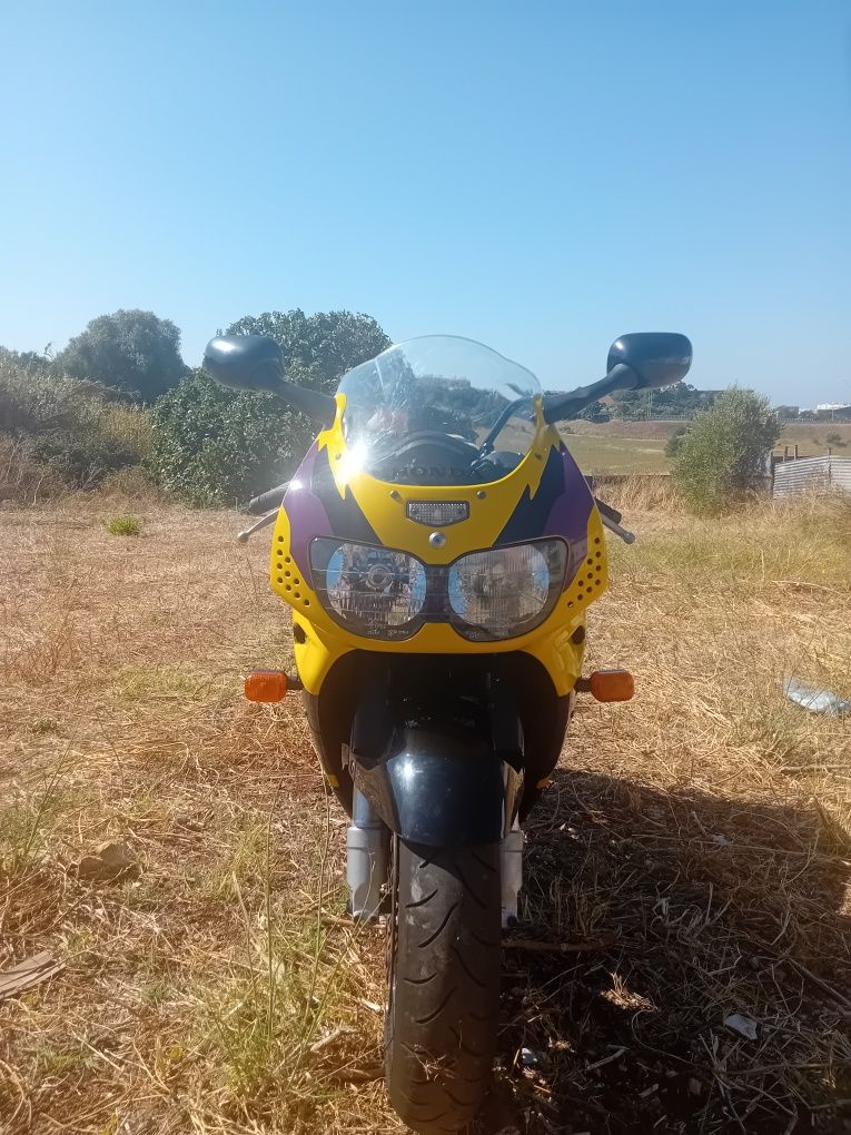 Cbr 900rr sc33 (919)