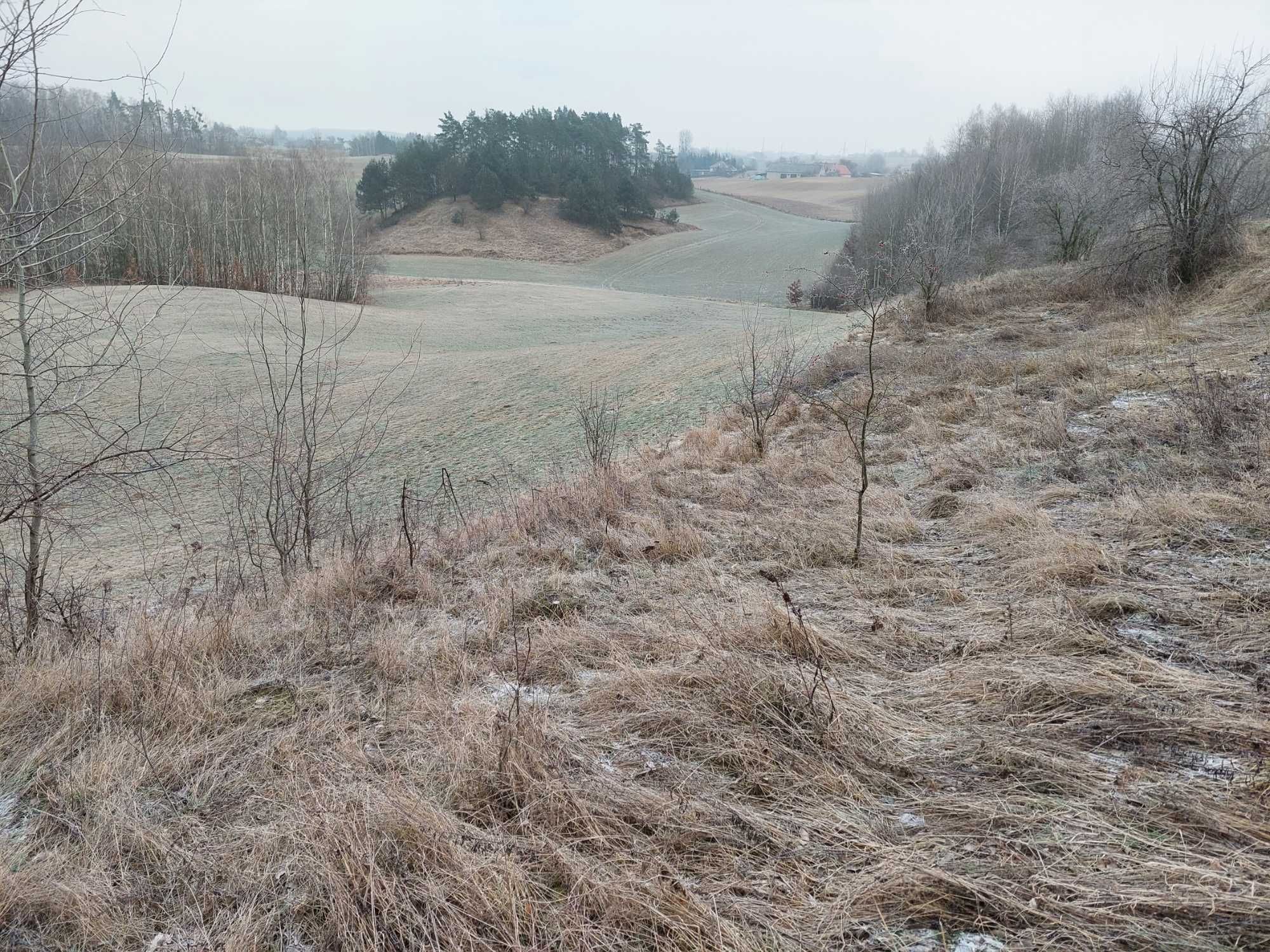 Sprzedam ziemię w całości lub działki