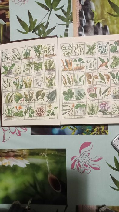 Продаю книгу.А.М.Кочетов  Декоративное рыбоводство