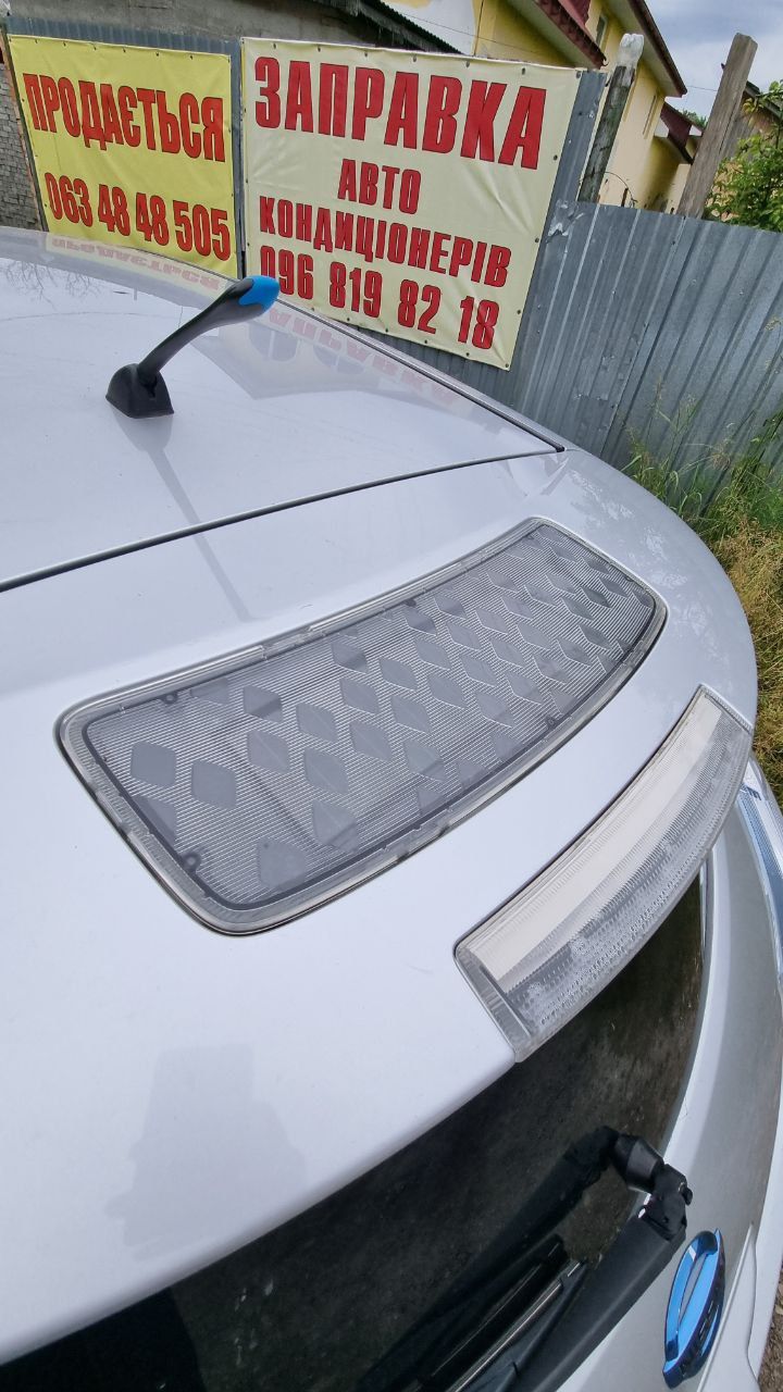 Nisan leaf (2013)