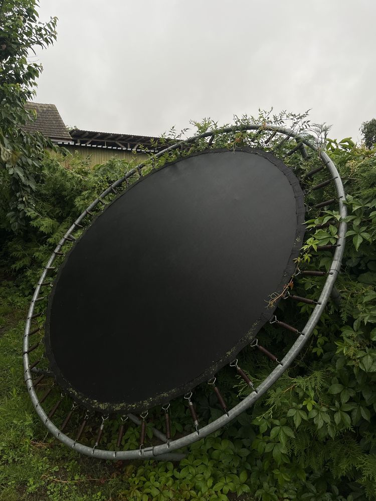 Trampolina