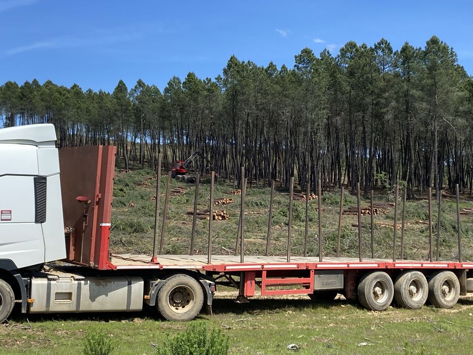 Semi Reboque com estivas