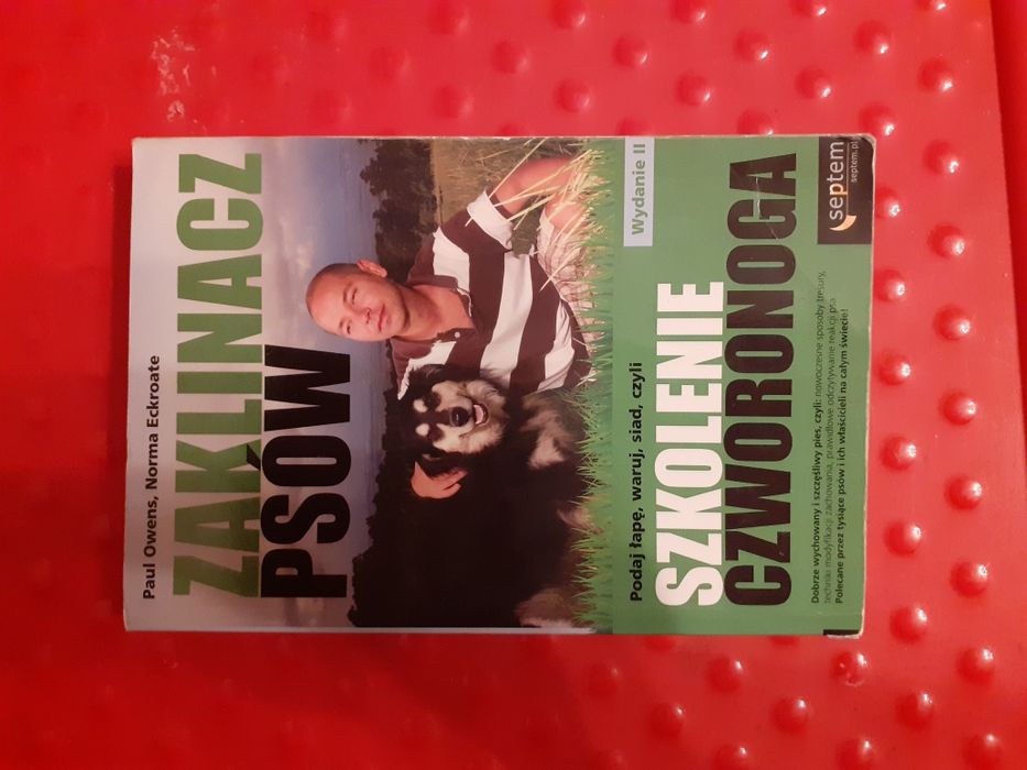 Zaklinacz psów Owens pozytywne szkolenie tresura
