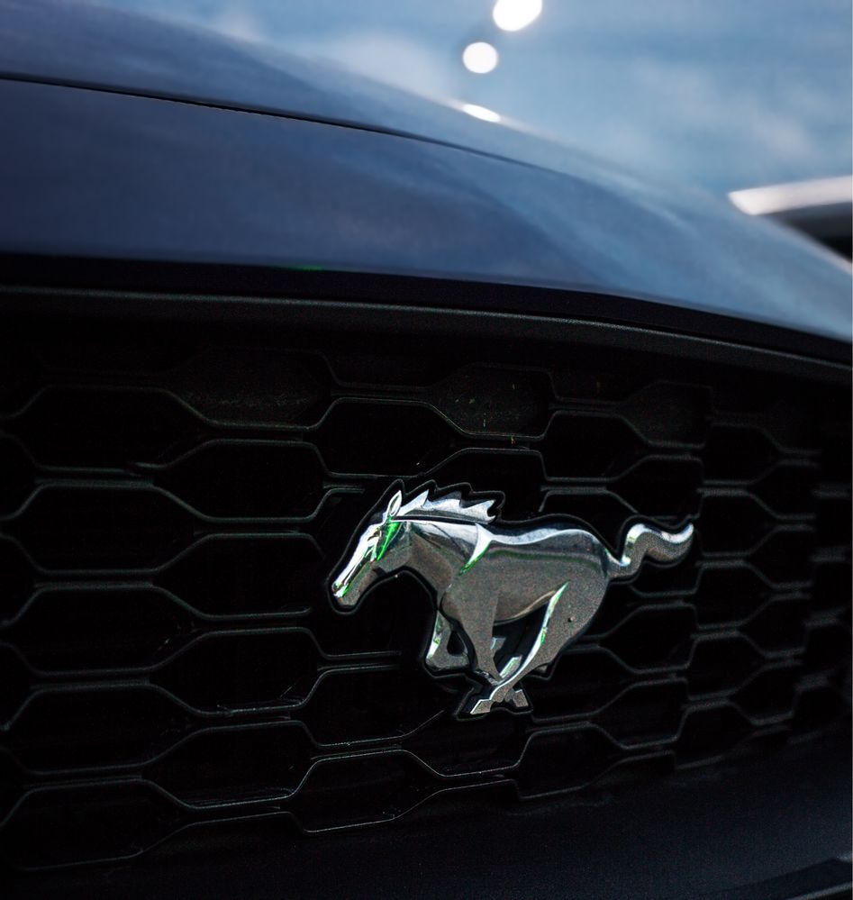 5.0 Ford Mustang Performance Package
