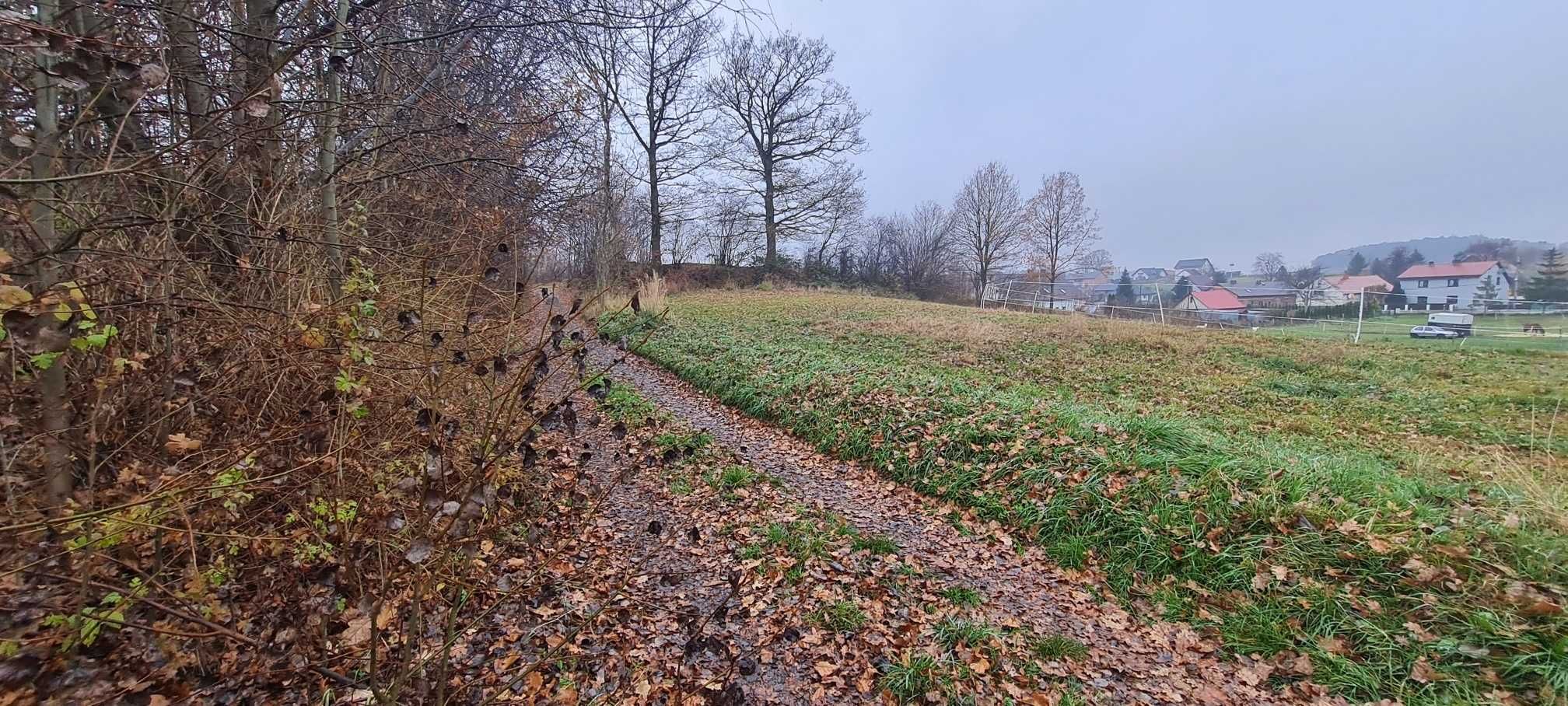 Sprzedam działkę Poniszowice Gliwicka