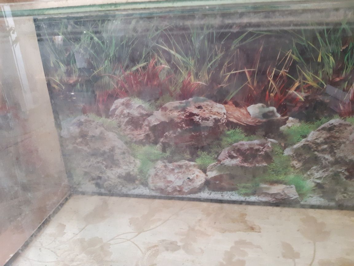 Продам аквариум в отличном состоянии