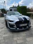 Ford Mustang Ford Mustang 3.7 V6 - wersja z elementami GT