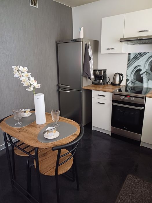 Mieszkanie Apartament Centrum. Wynajem na doby.