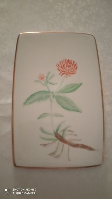 Płytki kolekcjonerskie porcelanowe