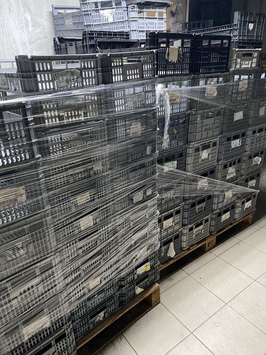 Caixas de plastico fruta
