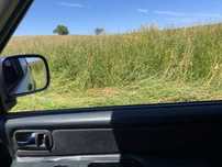 Vende se feno do ano passado, de aveia e triticale  20 eur cada fardo