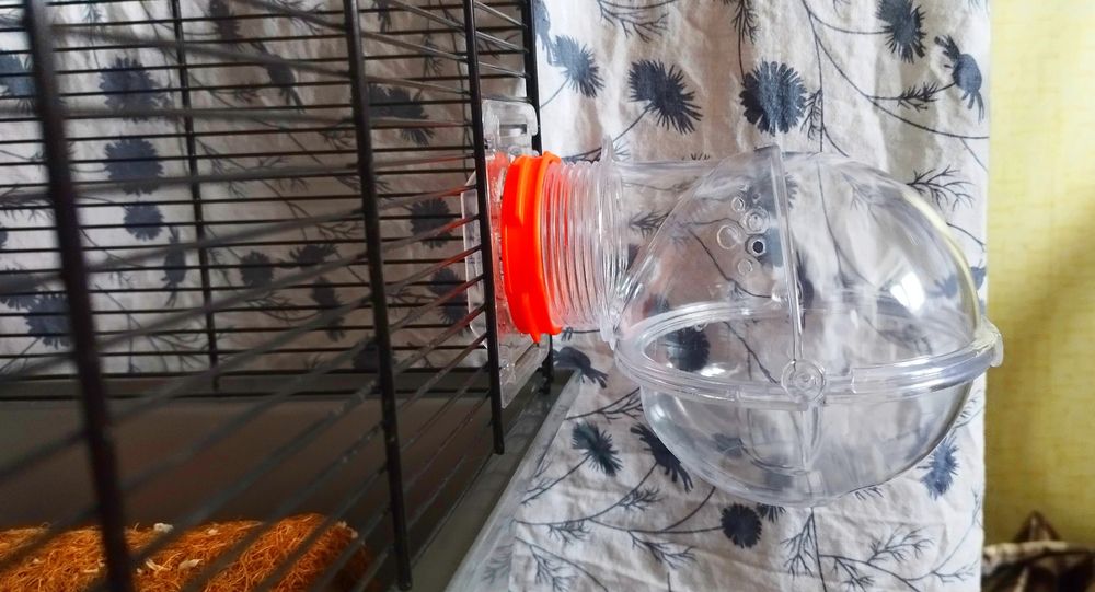 Домик, ванночка для грызунов, хомяка