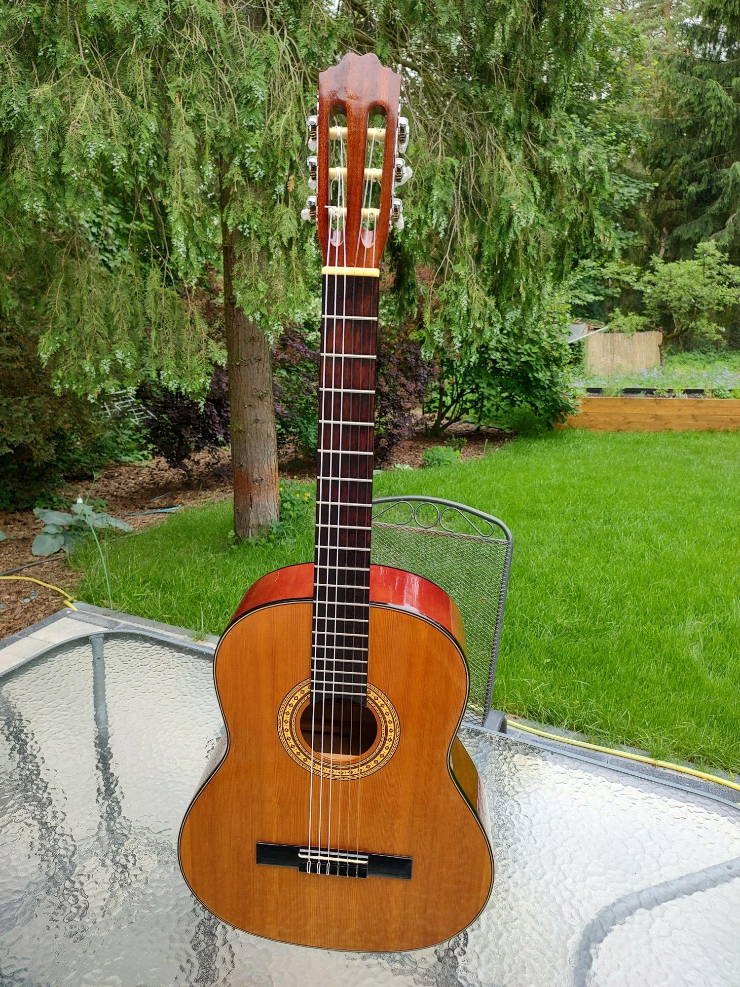 Motion TC901 gitara klasyczna Korea  Coś takiego w takiej cenie !!