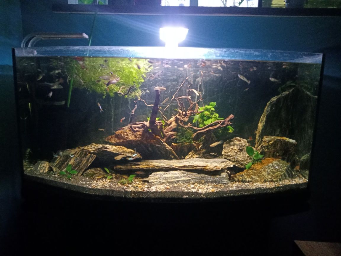 Akwarium  120L profil Full  Zestaw