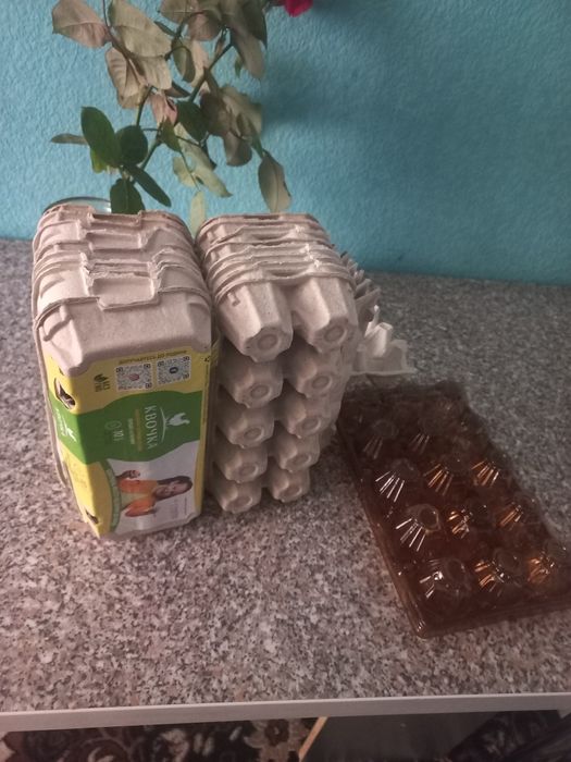 Лотки для яєць безкоштовно