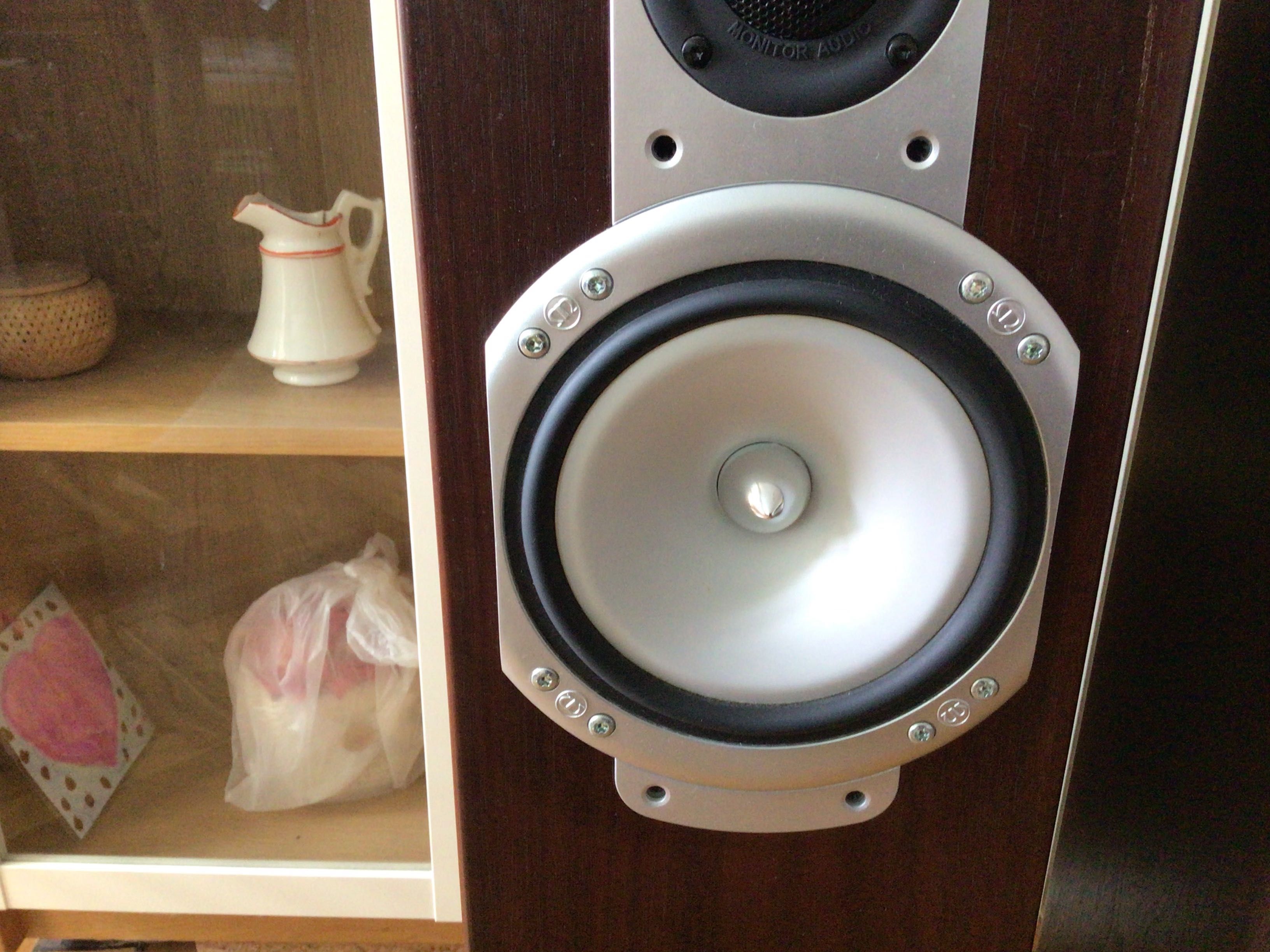 Monitor Audio RS5