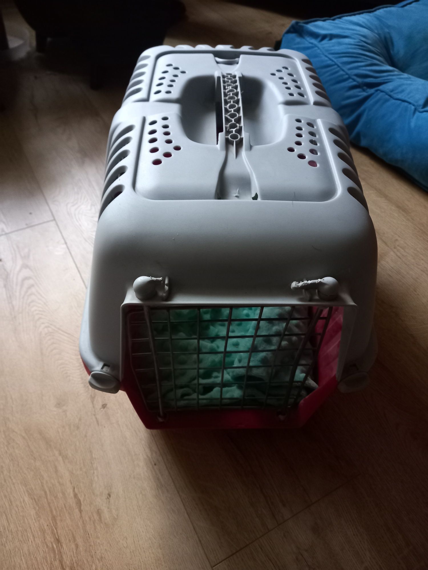 Transporter dla zwierząt
