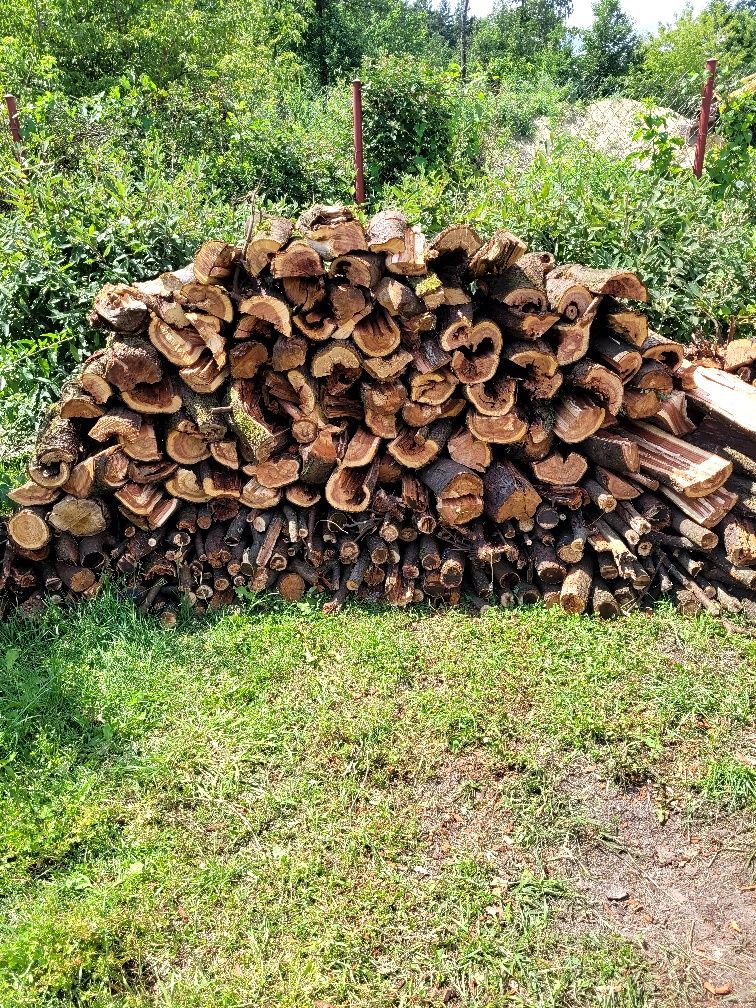 Drewno  sliwka na opał lub do wędzarni