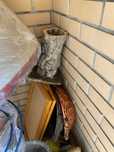 Peça em cortiça única