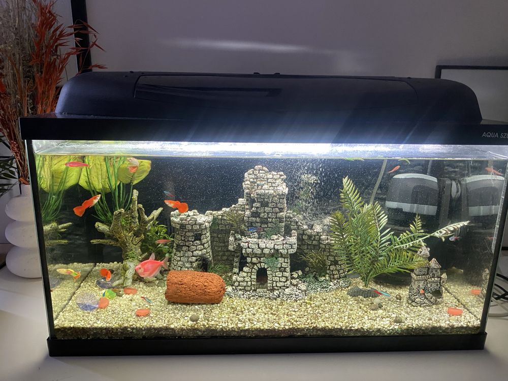Akwarium 65 L Filtr grzalka