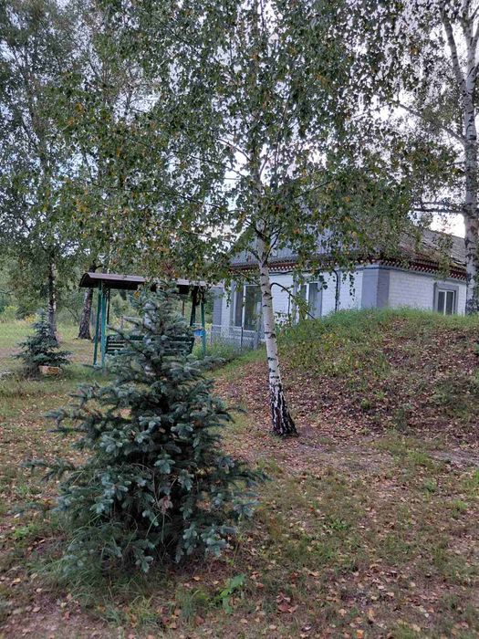 Екосадиба Тальки. Ціна за весь дім зі зручностями, мангал, басейн, бан