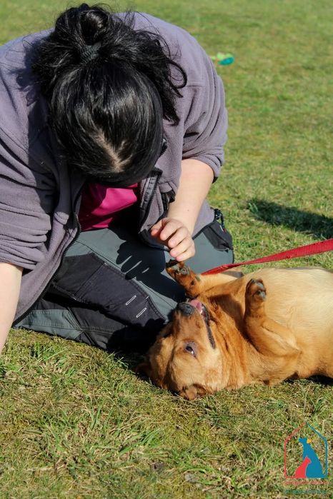 Tymon 86/24 - SZUKA DOMU!