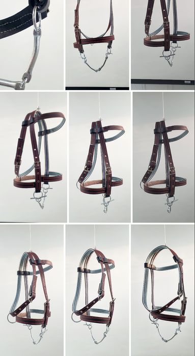 Чора та червона уздечка