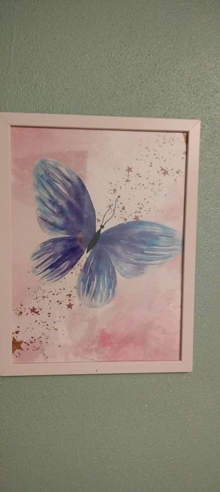 Obrazki  motyle białe ramki