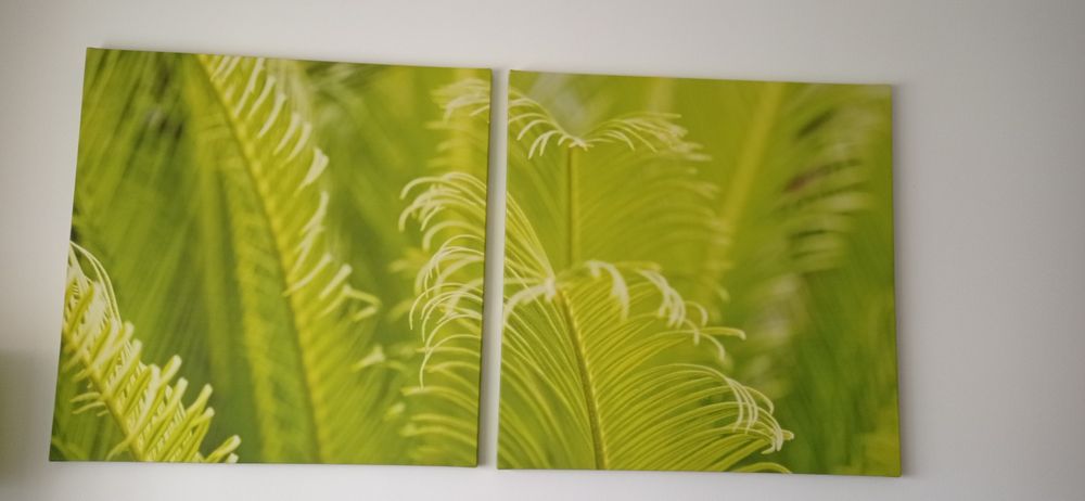 2 Quadros sala que se completam