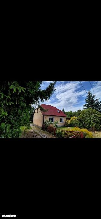 Dom  z pięknym duzym ogrodem duże 20metrowe drzewa enklawa , spokój