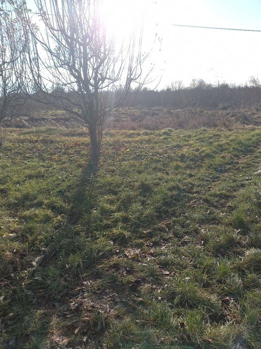 Земельна ділянка с. Холмок