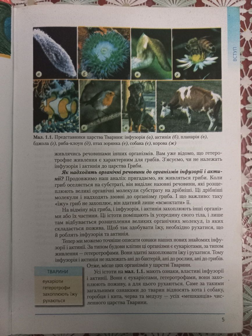 Підручник Біологія 8 клас