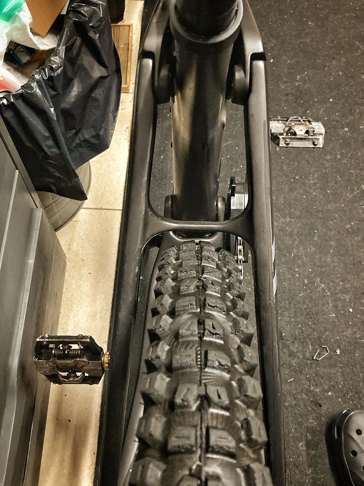 Canyon strive 2024