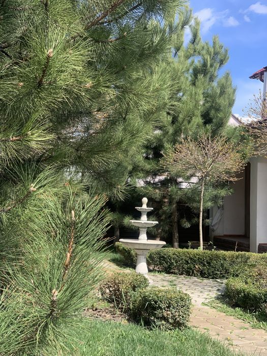 Аренда VIP дома 12 минут от Днера,1700$ с коммунальными (генератор)