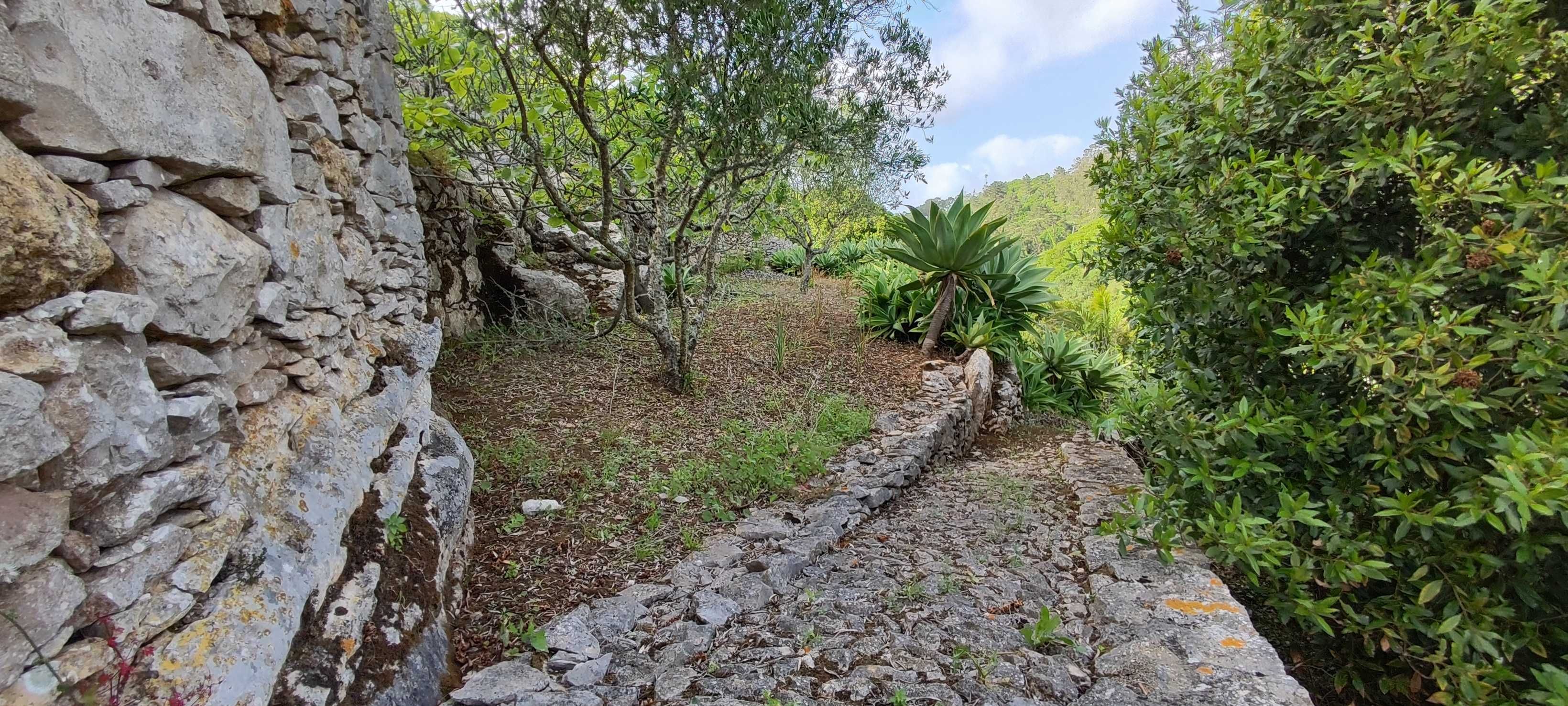 Moradia com  terreno e Grutas