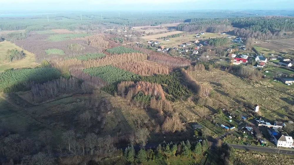 Działki w Warcinie*rolno-budowlane*5000 m2 i więcej