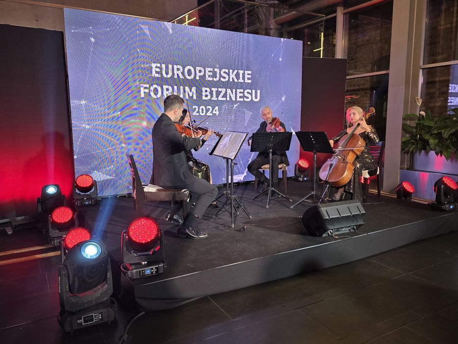 Telebim ekran led dioda na koncert festyn wynajem kraków