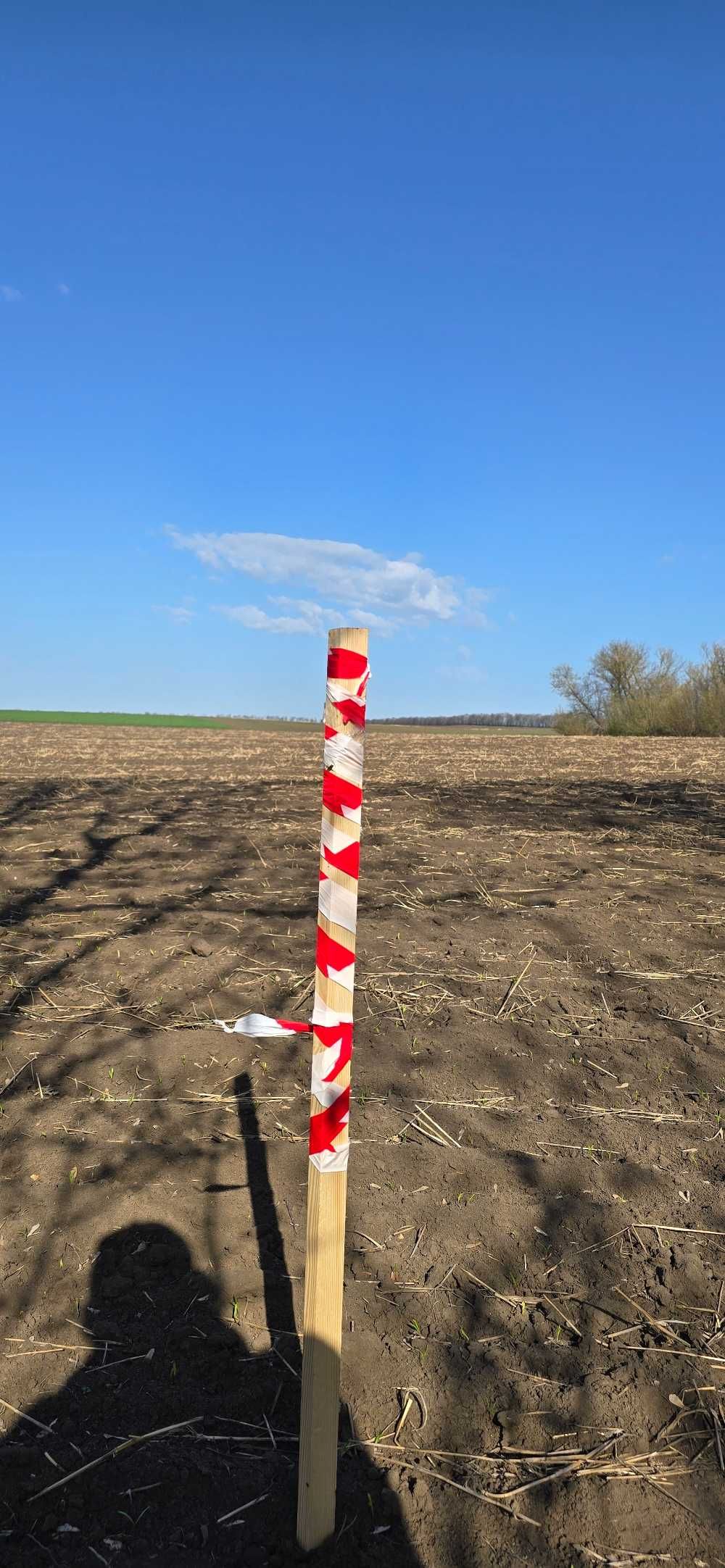 Інвестиція, яка починає працювати вже за кілька місяців.