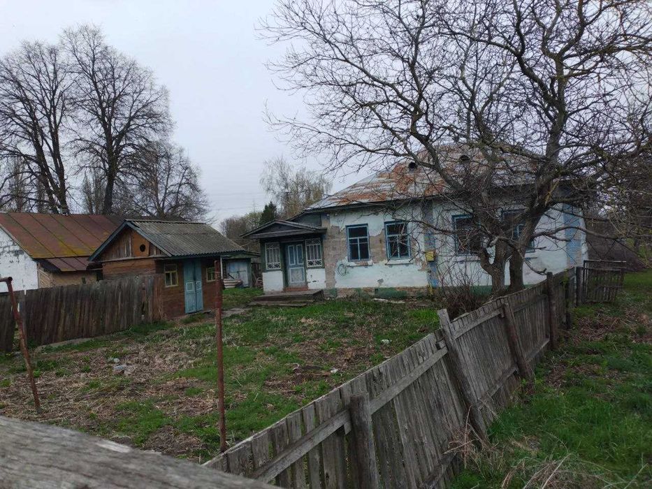 Будинок/Хата в селі Чернігівська обл. Козелець/Бобровиця