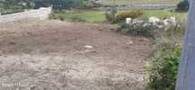 Terreno Construção - Besteiros, Paredes