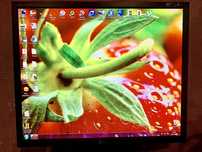 Монітор LG L1953HR Flatron 19’’ дюймів