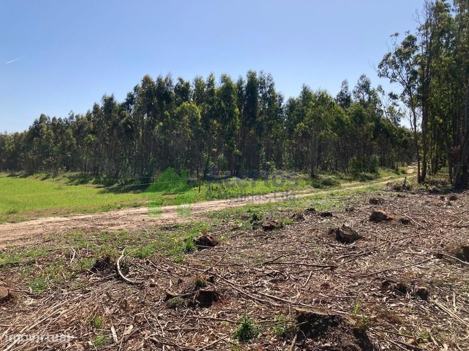 Terreno | Atouguia Da Baleia