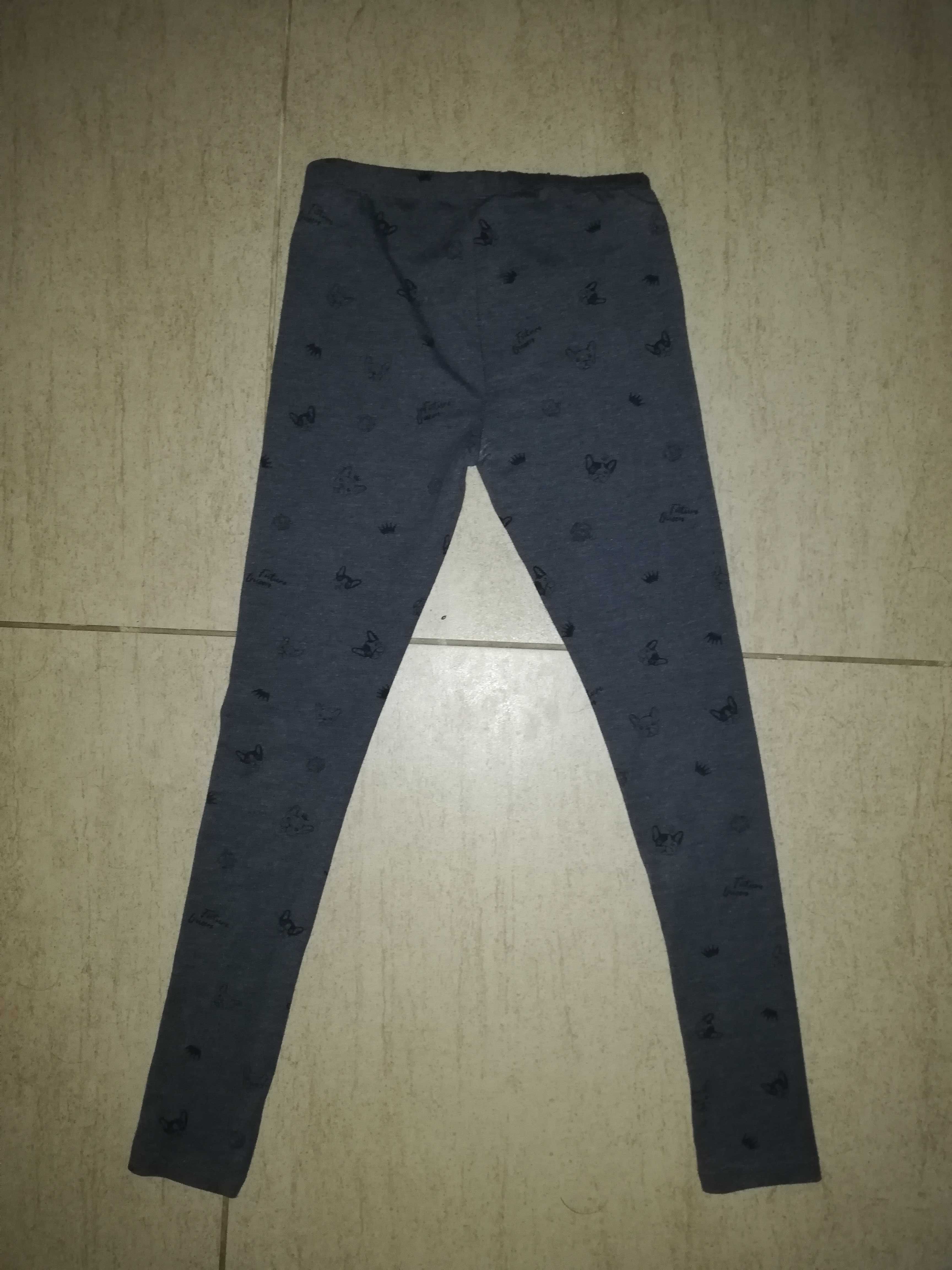 Spodnie legginsy Reserved rozm. 152 buldog francuski