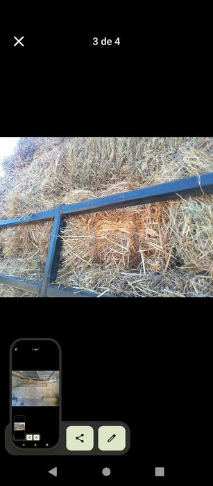 Vendo fardos de feno bom preço